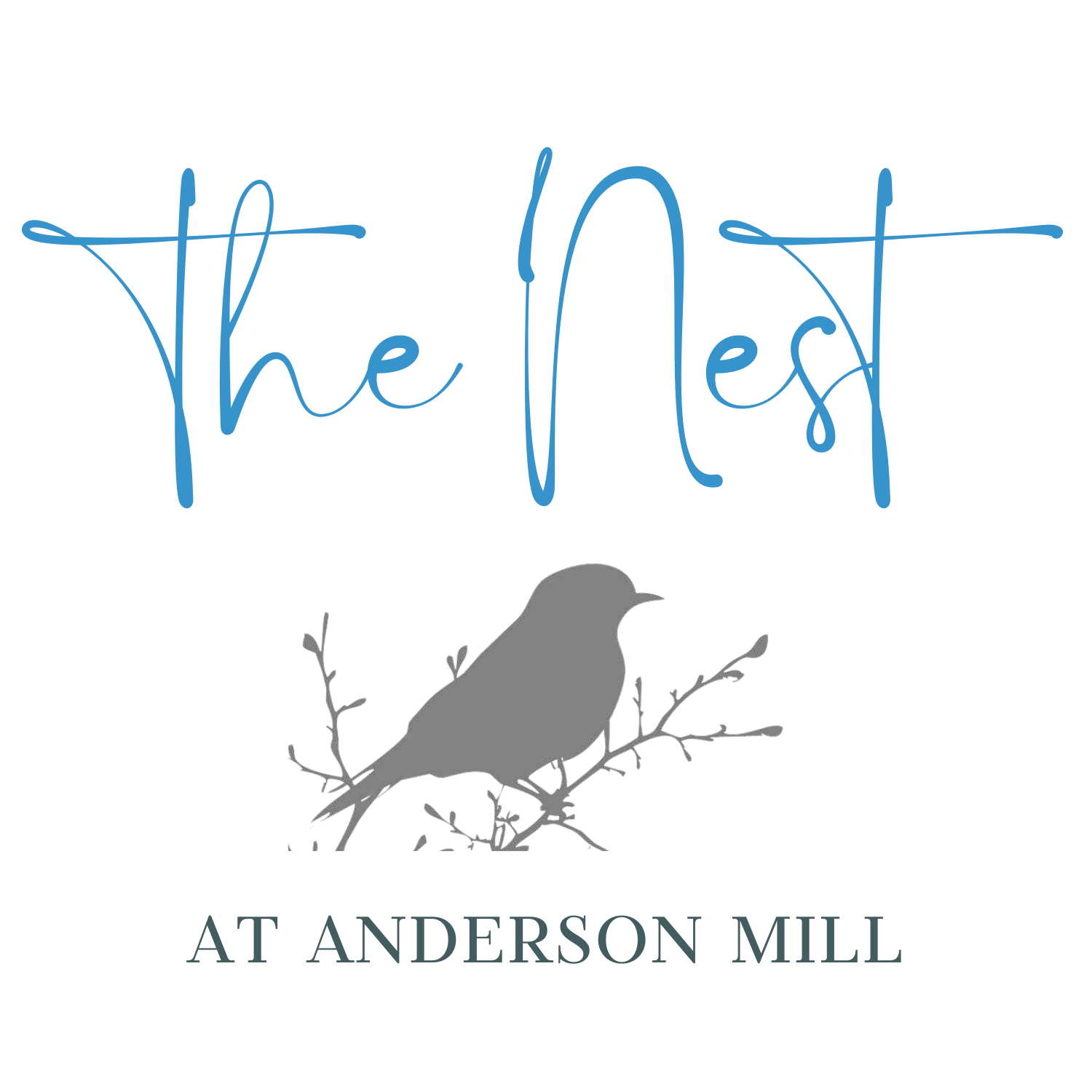 The Nest at Anderson Mill
